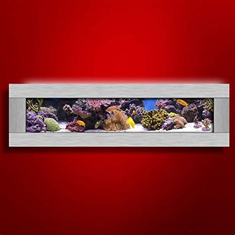 Best Wall Mounted Fish Tank Review 2020 Updated