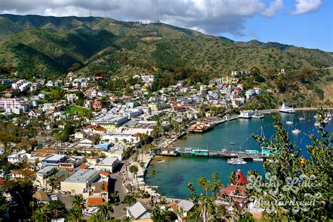 How To Go To Catalina Island Completely For Free Dezistyle