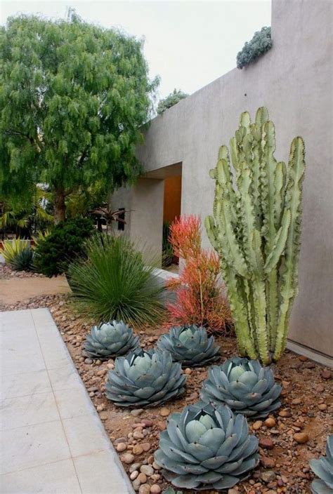 Admirable Desert Garden Landscaping Ideas For Home Yard Xeriscape