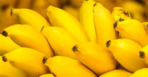 Human Trials Planned For Genetically Modified Super Bananas