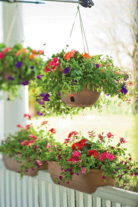 85 awesome shade plants for windows boxes ideas. Deck Rail Planters | Deck Railing Planters | Gardener's ...