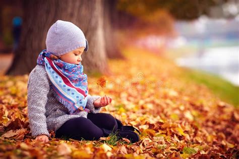 Adorable Happy Baby Girl Catching The Fallen Leaves Playing In The