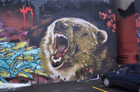 Bear Grafitti Art Street Art Graffiti