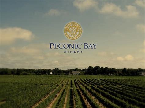 Peconic Bay Winery Cutchogue 2021 All You Need To Know Before You