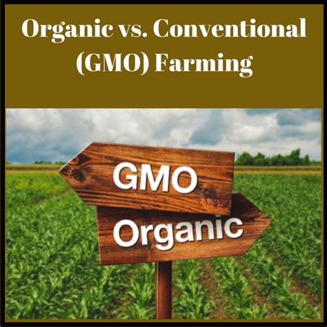 Organic Vs Conventional Gmo Farming Teach With Fergy