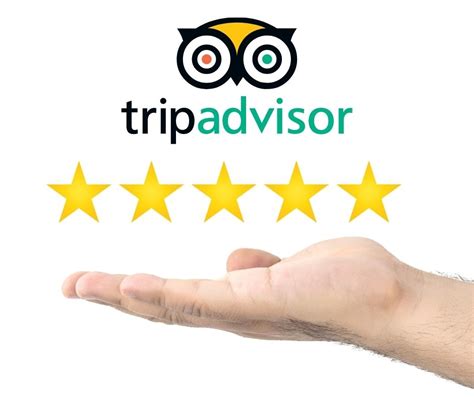 Tripadvisor Reviews Are Important Ingria Organisation