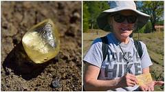 Decatur Resident Stumbles Upon Rare Treasure In Their Own Backyard