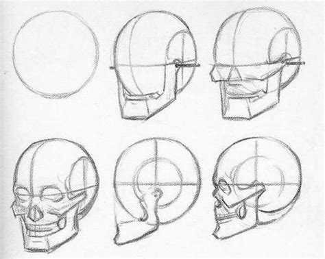 Artistic Anatomy Drawing The Human Head Drawing Heads Skulls Drawing