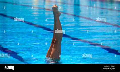 Synchronized Swimmers Legs Point Up Out Of The Water In Action Stock