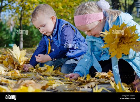 Happy Children Playing In Autumn Leaves Stock Photo Alamy