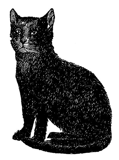 Vintage Black Cat Drawing