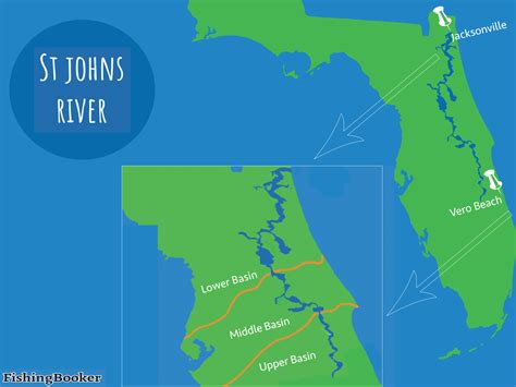 Fishing the St. Johns River: All You Need to Know