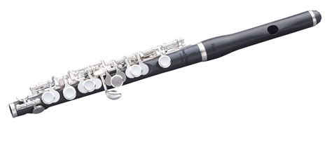 Flute concerto in d major il gardellino, rv 428 (op.10 no.3) ; Pearl Flutes PFP-165E Piccolo Flute - Musikhaus Thomann