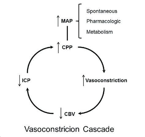 Schematic Illustration Of The Theoretical Principles Behind The