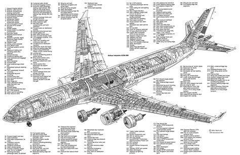 Aircraft Cutaway Aircraft Aircraft Design Person Drawing