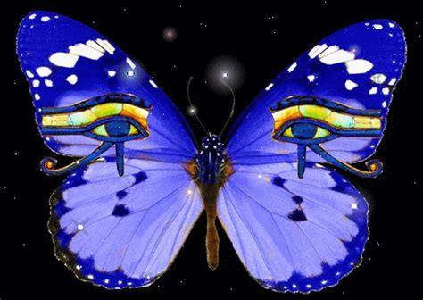 Mariposas Brillantes Con Movimiento Imagui
