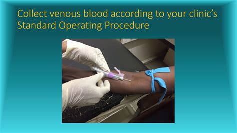 Demonstration Video Dried Blood Spot Preparation From A Venous Blood