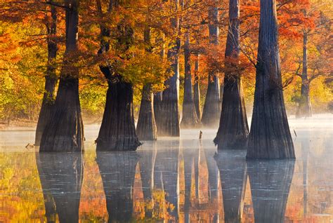 Cypress Reflections I White River National Wildlife Refuge Arkansas