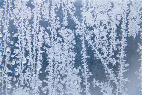 Wallpaper Snow Winter Branch Ice Frost Pattern Freezing Tree