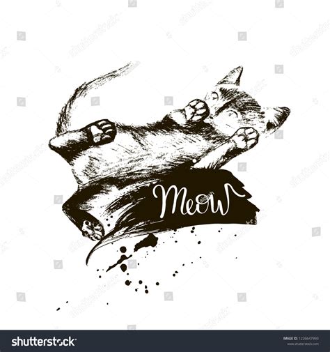 Cute Pussy Meow Lettering Inscription Hand Stock Vector Royalty Free 1226647993 Shutterstock