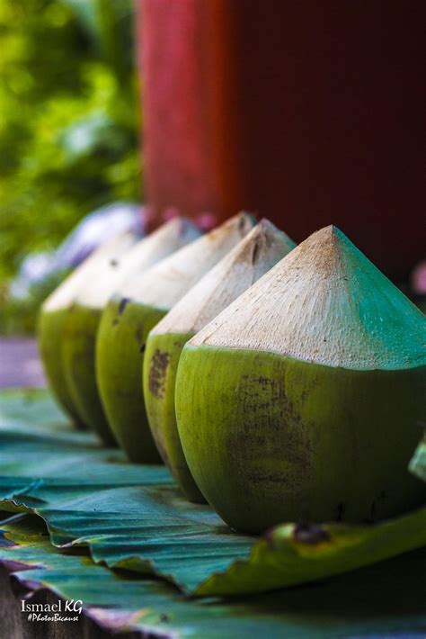 Coconuts Thailand Ismael Kherroubi García Flickr