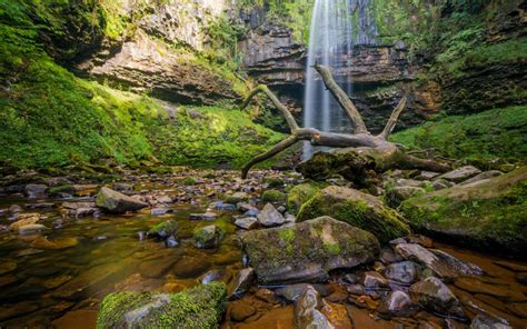 Waterfall Moss Forest Rocks Stones Stream Log Hd Wallpaper
