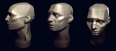 Asaro Head Planes Of The Human Head For Shading And Practice Head