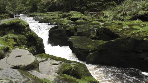The Strid At Bolton Abbey Youtube