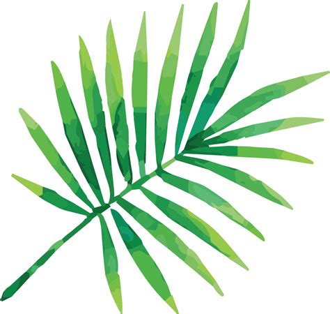View Full Size Cropped Bartboard Watercolor Tropical Leaves Vectors