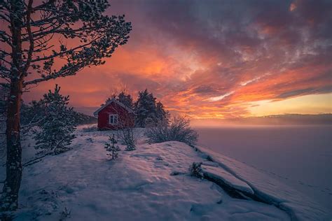 Winter Snow Trees Sunset Norway House Ringerike Frozen Lake Hd
