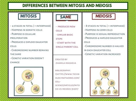Differences Between Mitosis And Meiosis Meiosis Mitosis Teaching