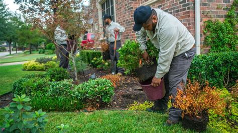 Landscaping Jobs in Texas: Descriptions, Salaries & Other Considerations