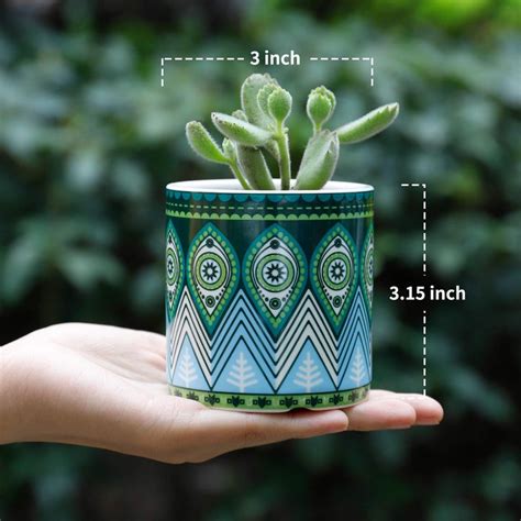3 Inch Succulent Planter Set Mandala Pattern With Etsy