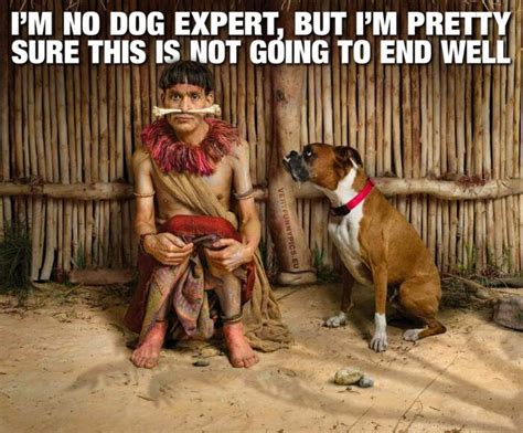 Im No Dog Expert Funny Animal Memes Very Funny Pictures Funny