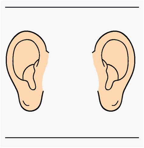 Ear Panda Free Images Ears Clipart Transparent Png Pairs Of Ears