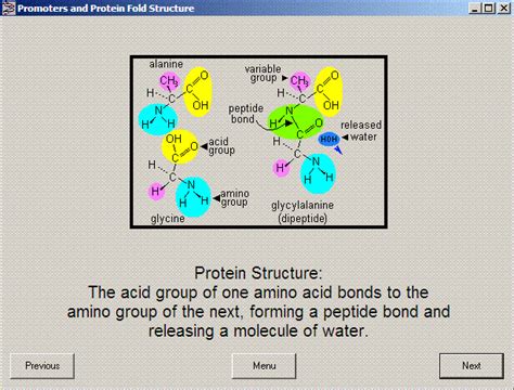 Aoc e2343f user guide epub. DNA - The Master Molecule (computer simulation) key