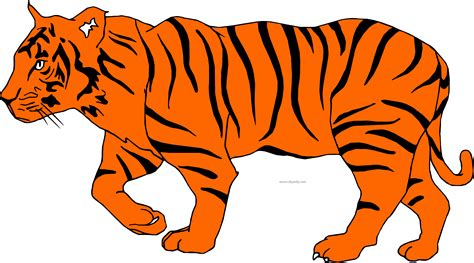 White Tiger Clipart Depauw Illustration Of A Tiger Png Download