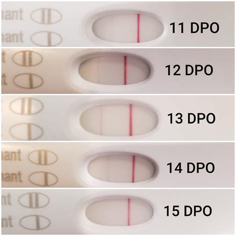Tw Chemical 11 15 Dpo Chemical Pregnancy Progression Frer Second