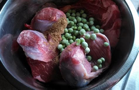#5 chicken pot pie dog food recipe. Raw dog food recipe - steak and turkey | ThatMutt.com