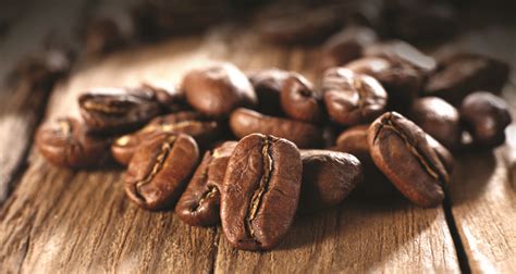 bedanya arabica  robusta kopi indonesia
