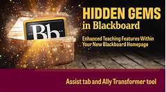 The Student Hubs Hidden Gems Unveiling The Secrets Of Success At Nu