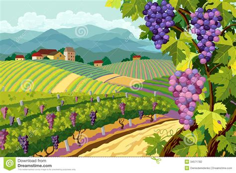 Choose from +73,204 free clip art pictures, images, illustrations, backgrounds, silhouettes and vectors. Vineyard clipart 20 free Cliparts | Download images on ...