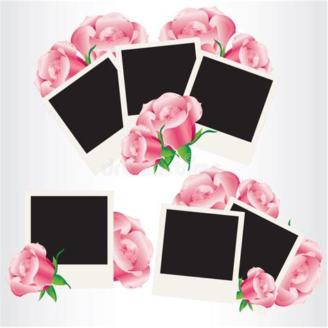 Polaroid Photo Frames With Pink Roses Royalty Free Stock Photography