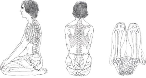 Kneeling Poses Yoga Anatomy 2nd Edition