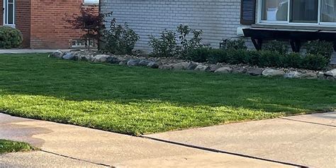 Lawn Care And Landscaping Company Near Me Livonia Mi