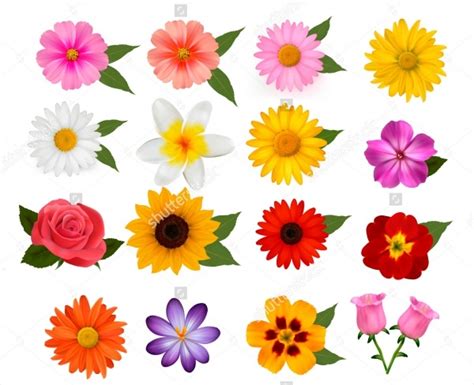 Free 10 Colorful Vector Flowers For Graphic Artwork In Psd Vector Eps