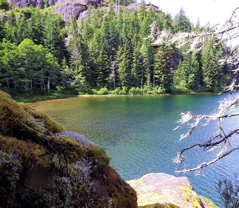 Crest Lake Gold River Bc Canada Travel Vancouver Island River