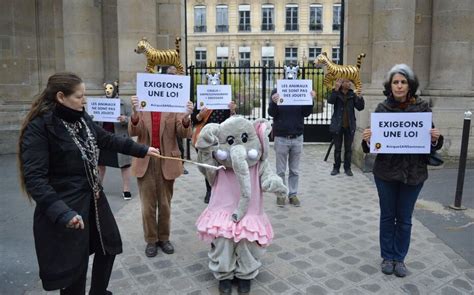 Paris Ils Disent Non Aux Animaux Dans Les Cirques Le Parisien