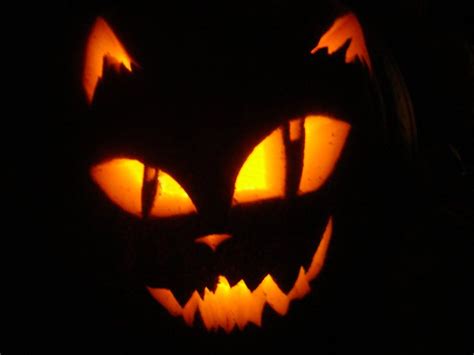 Awesome Cat Pumpkin Carving Pumpkin Carving Halloween Pumpkin Designs