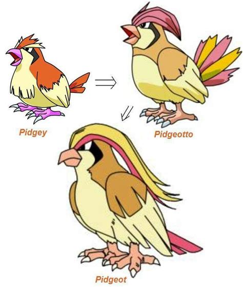 Pokemon Pidgey Evolution Chart